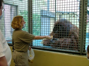 My sister when she worked at the Atlanta Zoo